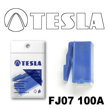 TESLA Предохранитель катриджного типа JCase FJ07 100A /1шт